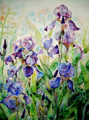 Irises in the garden. Ostraya Elena