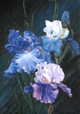 Irises. Krasovskaya Tatyana