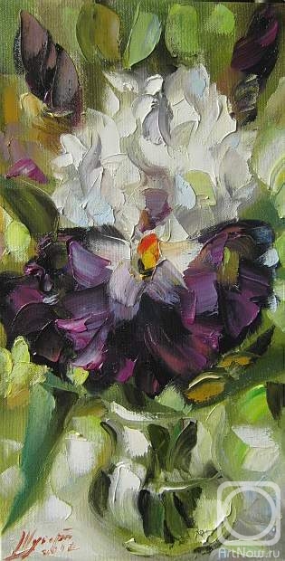 ������� ������ �� ������. ������ �������. ���� ����������