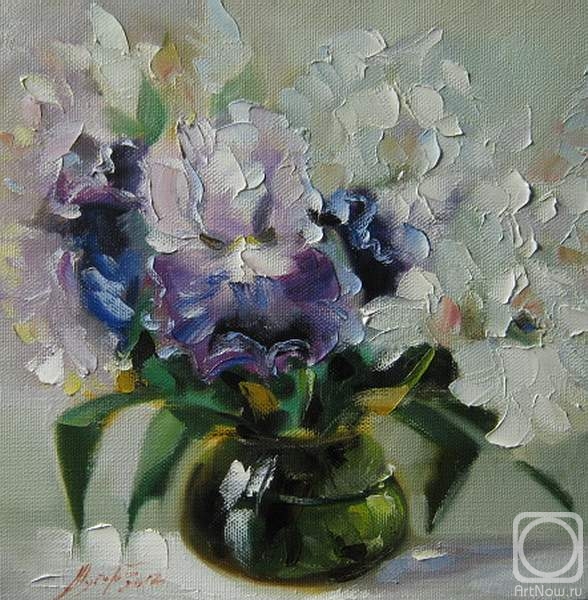 Schubert Albina. Untitled