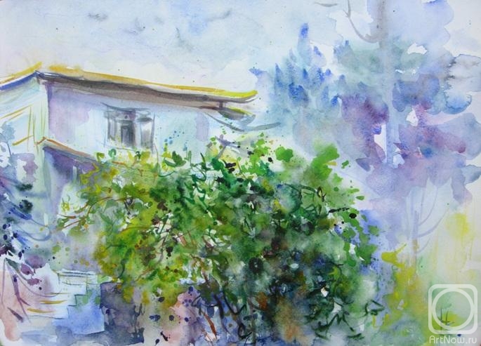 Ostraya Elena. Country etude