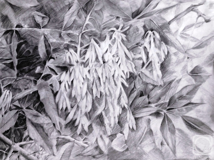 �������. ���������� �����. �����