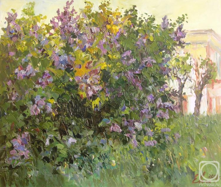Malykh Evgeny. Pavlovsk. Park. A lilac bush