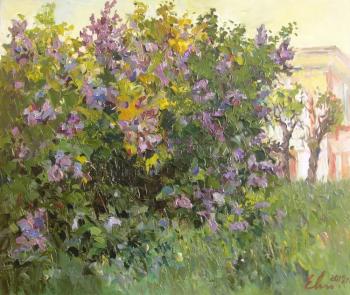 Pavlovsk. Park. A lilac bush. Malykh Evgeny
