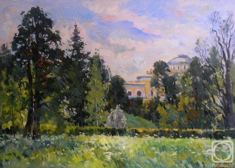 Malykh Evgeny. The view on the Pavlovsk Palace