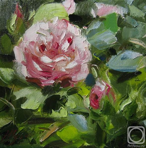 ������� ������ �� ������. ������ �������. ����