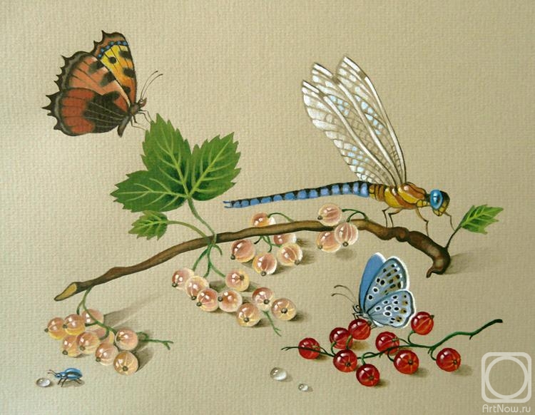 Belova Asya. Butterflies, dragonflies and currants