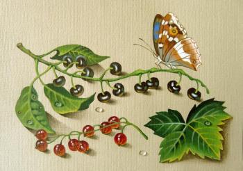 Butterfly, bird cherry and red currant. Belova Asya