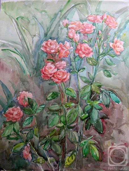 Kruppa Natalia. The roses