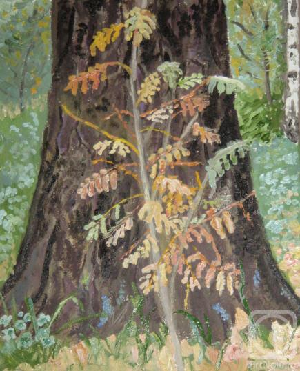 �������. ���������� �����. ������� ����