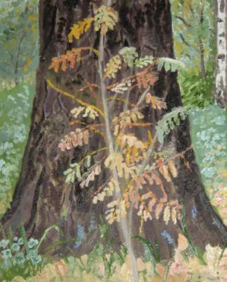 ������� �������� ����