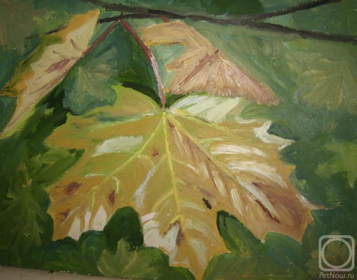 �������. ���������� �����. �������� ����