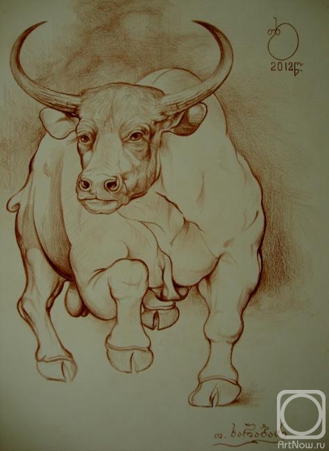 Kharabadze Teimuraz. Bull