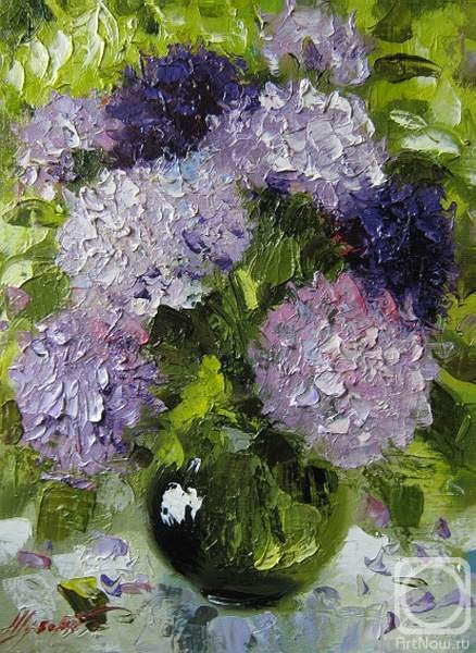 Schubert Albina. Untitled