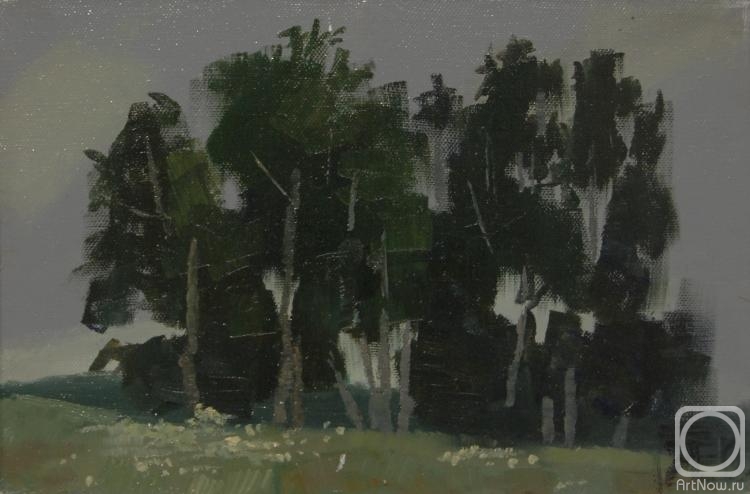 Yachniy Evgeniy. Evening birches