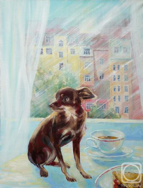 ������� ������ �� ������. ����� �������. ����� ������?