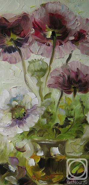 Schubert Albina. Untitled