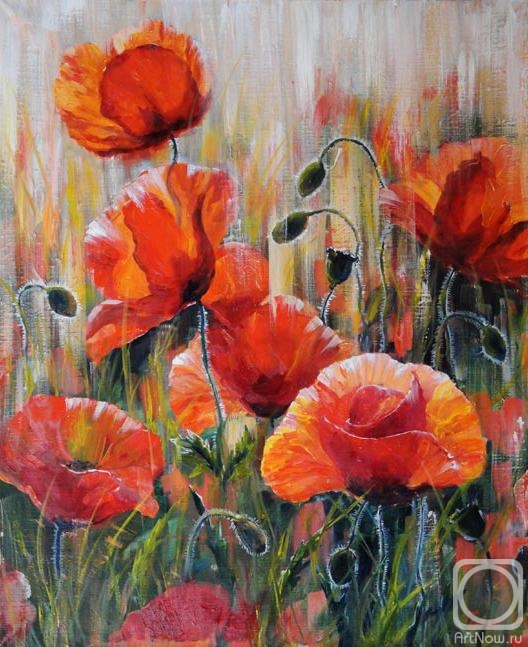 Grosa Ludmila. Poppies in the morning rays