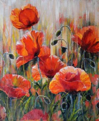 Poppies in the morning rays. Grosa Ludmila