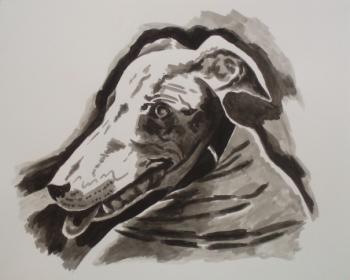 549 (Contrast study of dogs) (Greyhound Dogs). Lukaneva Larissa