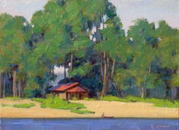 Coastal cottage (Artist Togliatti). Utkin Eugeny
