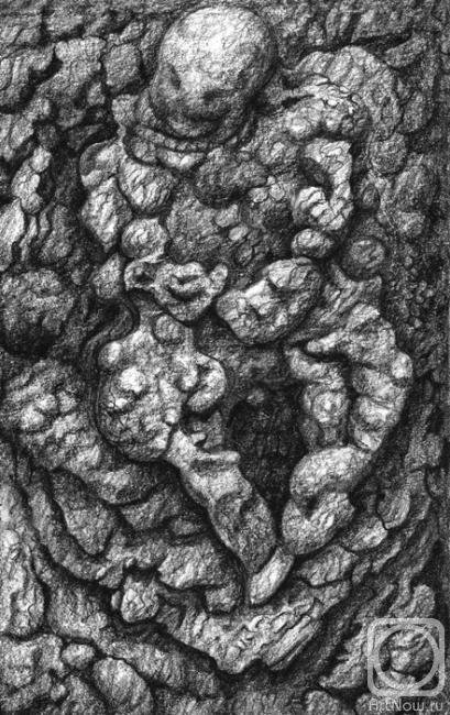 �������. ��������� ���������. �������� ����