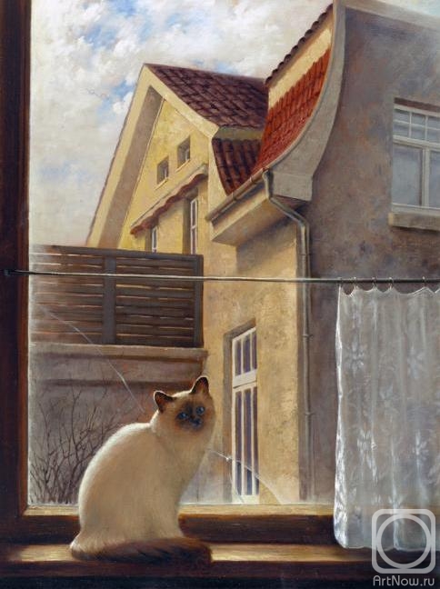 ������� ������ �� ������. �������� �������. �������