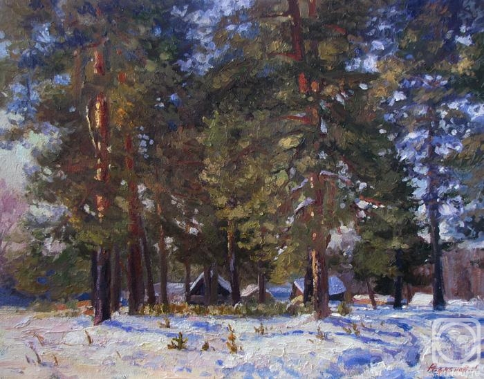 Rodionov Igor. Pine. Winter sunny day