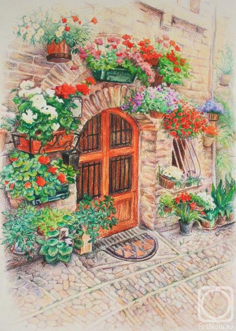 �������. �������� ����. ��������� �����