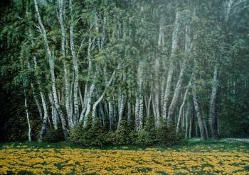 Birch grove. Plutalov Vitaliy