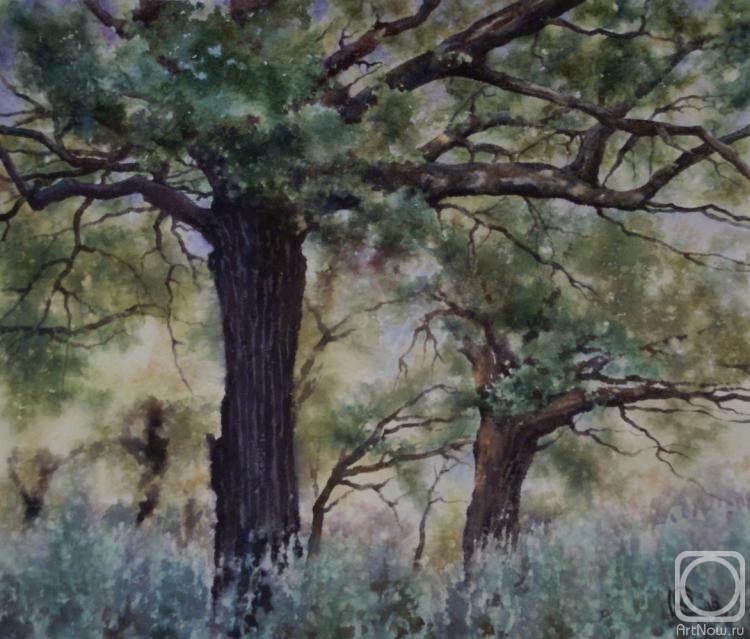 Sergeev Yury. In Bitsevsky Park