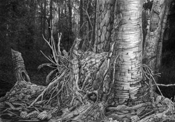 ������� ����� ��������� ����� ������ ������