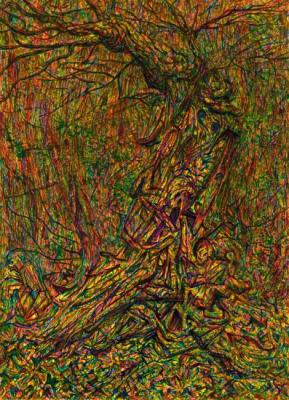 Fighter-oak and his spirits