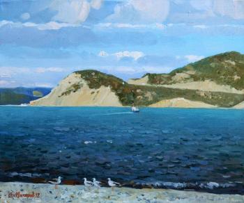 The Black Sea and the seagulls. Makarov Anton