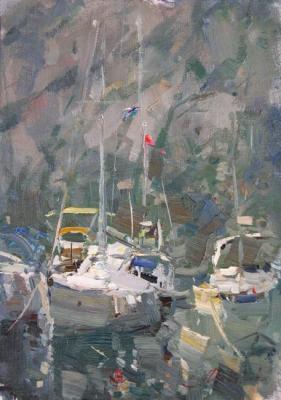 Yachts in the Bay of Kotor. Makarov Vitaly