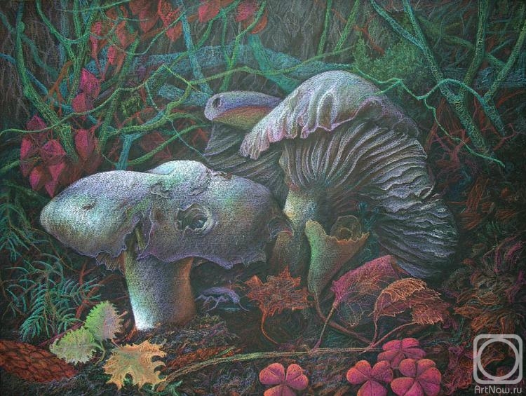 �������. ��������� ���������. ���������