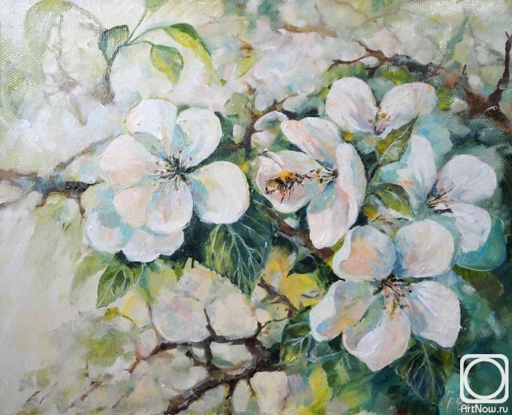 ������� ������ �� ������. ����� �������. �������� ������