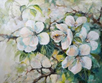 ������� ��������� ������