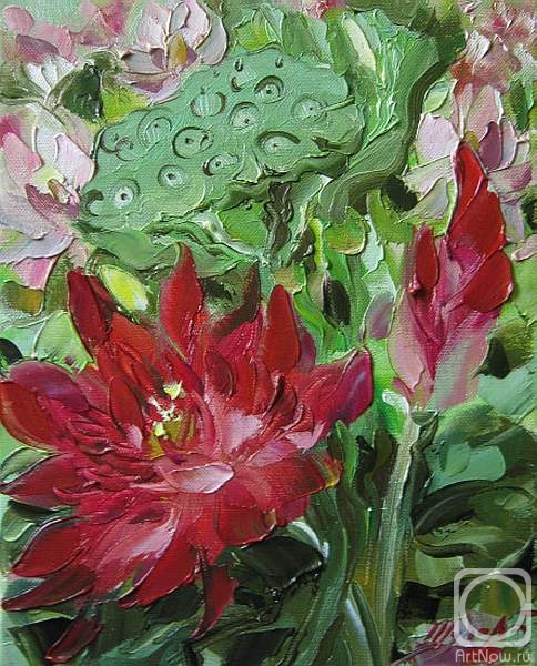 ������� ������ �� ������. ������ �������. ����� �����