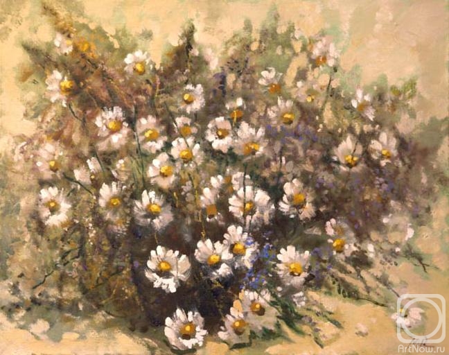 Kremer Mark. Camomiles and wild flowers