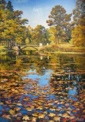 270 ��������