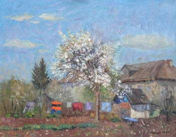 The apple-tree blossoms. Aktuba. Chernyy Alexandr