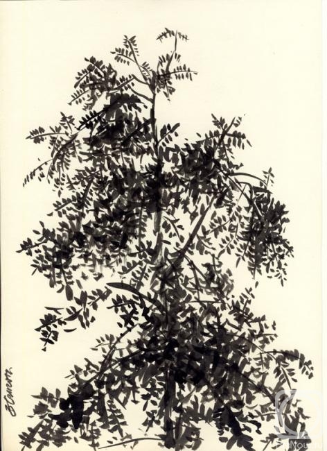 �������. ��������� ��������. ������ �� �����