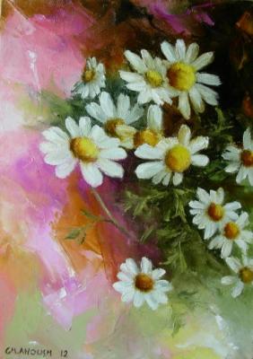 Chamomile flowers