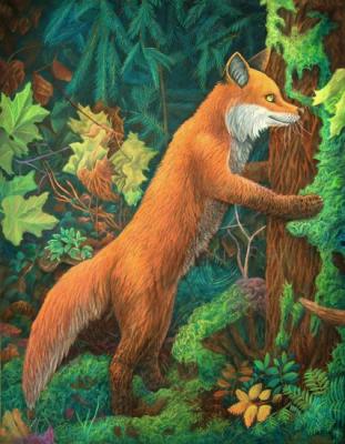 Fox loving nature. Dementiev Alexandr