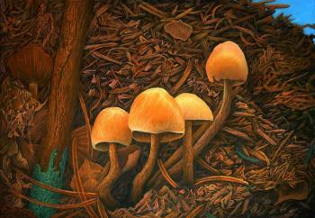Mushrooms march around chaos