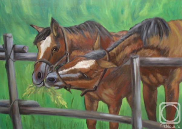 ������� ������ �� ������. �������� ������. 558 (������)