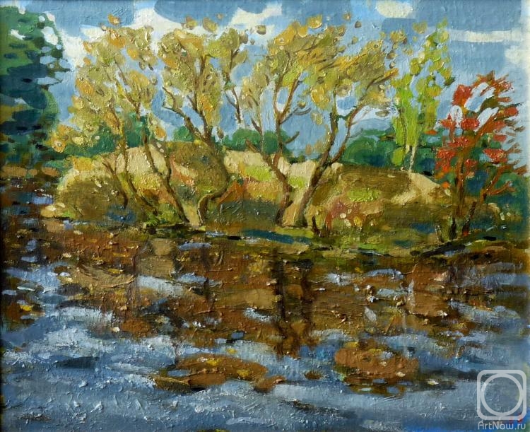 Arepyev Vladimir. A small island and its reflection