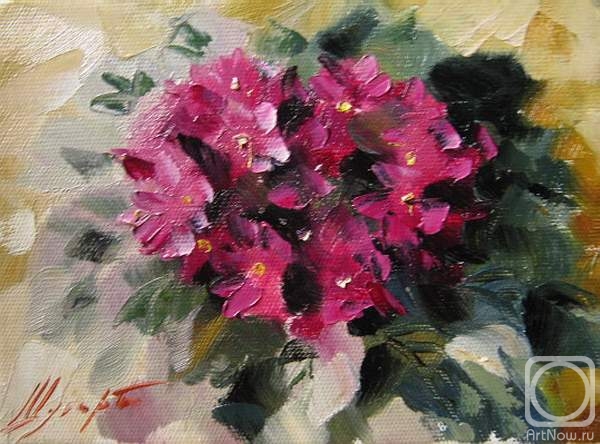 ������� ������ �� ������. ������ �������. ������