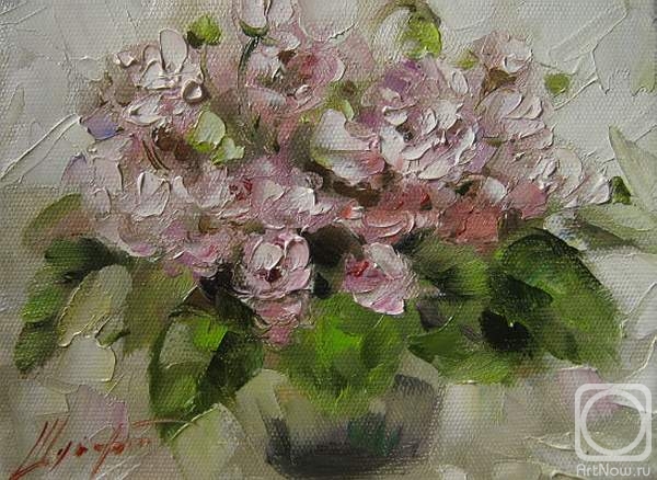 ������� ������ �� ������. ������ �������. ������